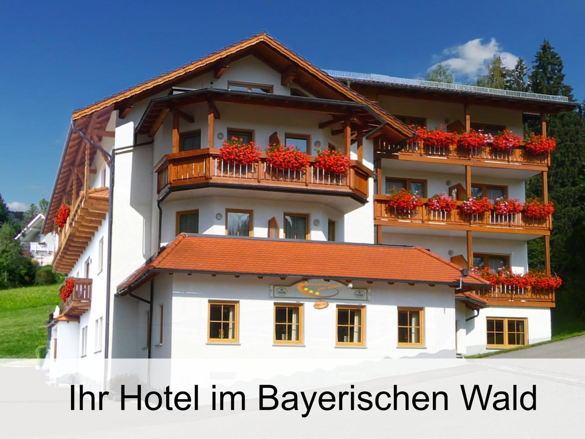 Garnihotel Zur Linde - Bayerischer Wald - Aktivcard Mit 154 Kostenfreien Leistungen - Kostenloser Parkplatz Lohberg Eksteriør bilde